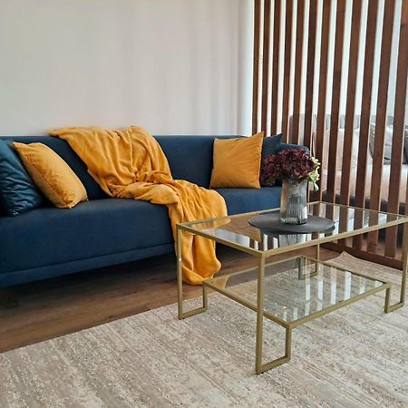 Mountain Breeze Luxury Apartment Ac & Parcare Privata Braszów Zewnętrze zdjęcie