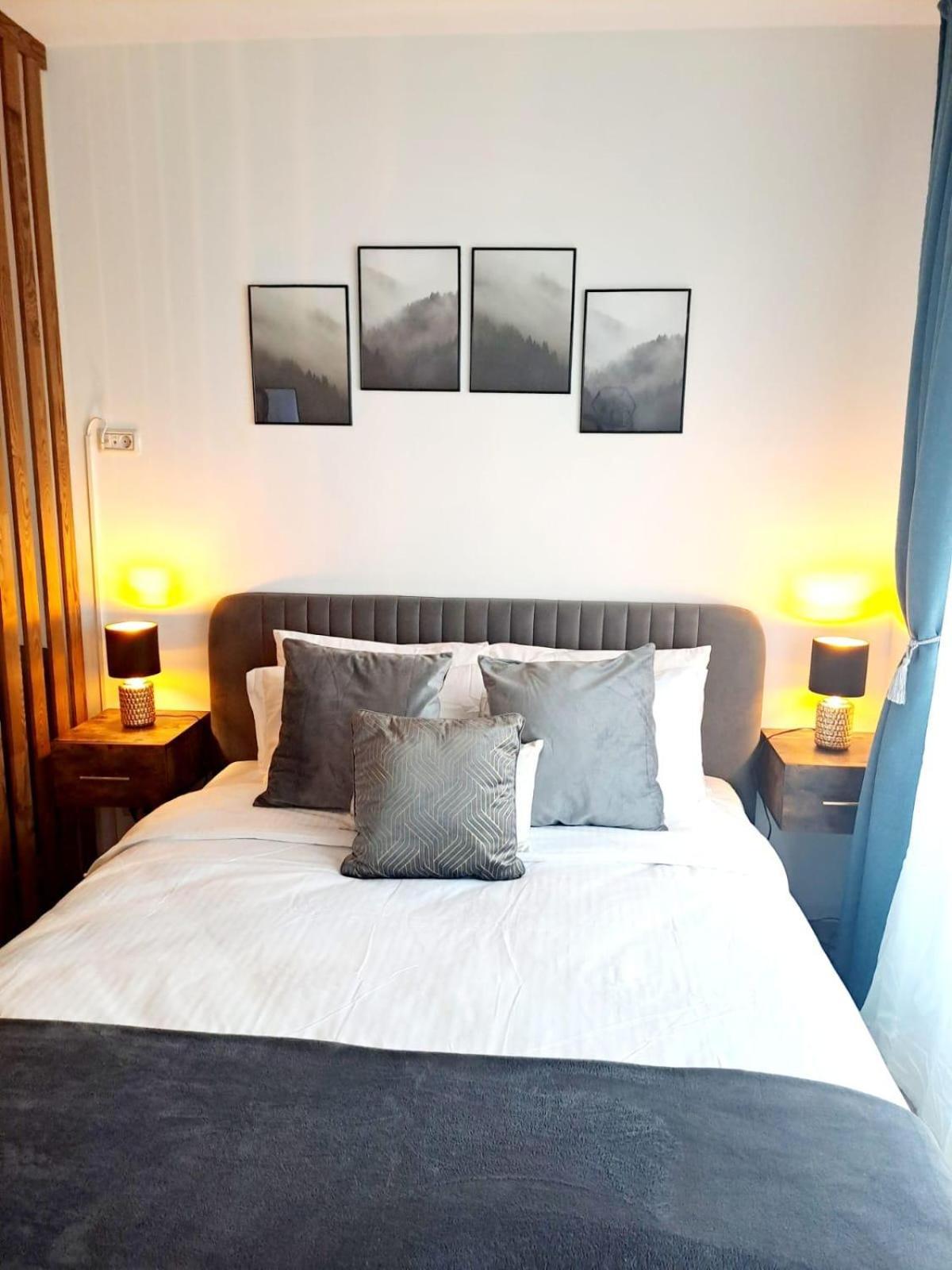 Mountain Breeze Luxury Apartment Ac & Parcare Privata Braszów Zewnętrze zdjęcie