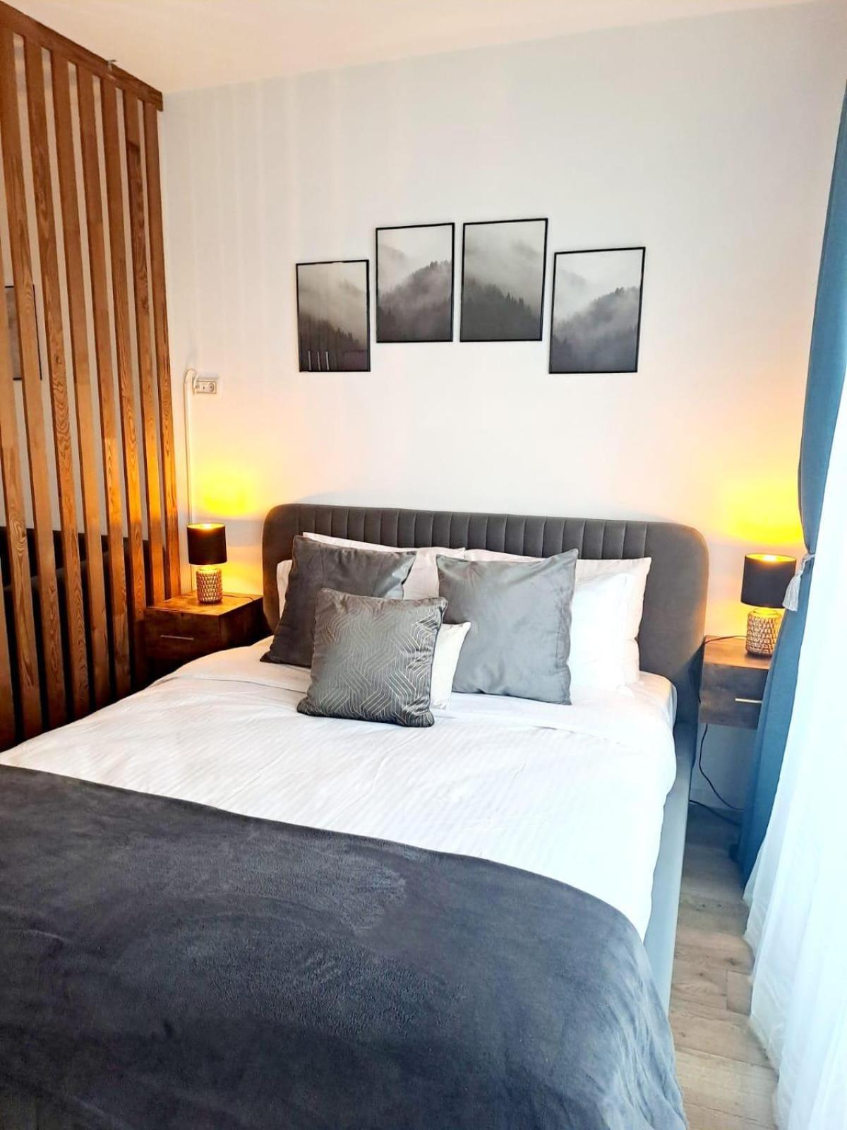 Mountain Breeze Luxury Apartment Ac & Parcare Privata Braszów Zewnętrze zdjęcie