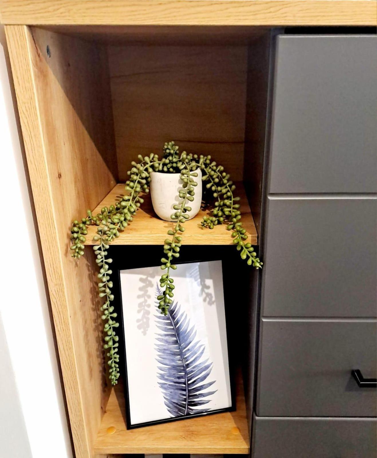Mountain Breeze Luxury Apartment Ac & Parcare Privata Braszów Zewnętrze zdjęcie